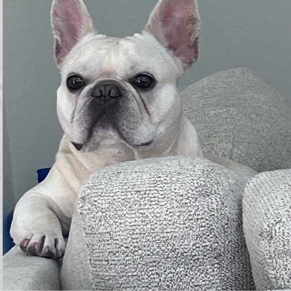 Welcome To My Closet πβ¨πΆ - Picture 1 of 5